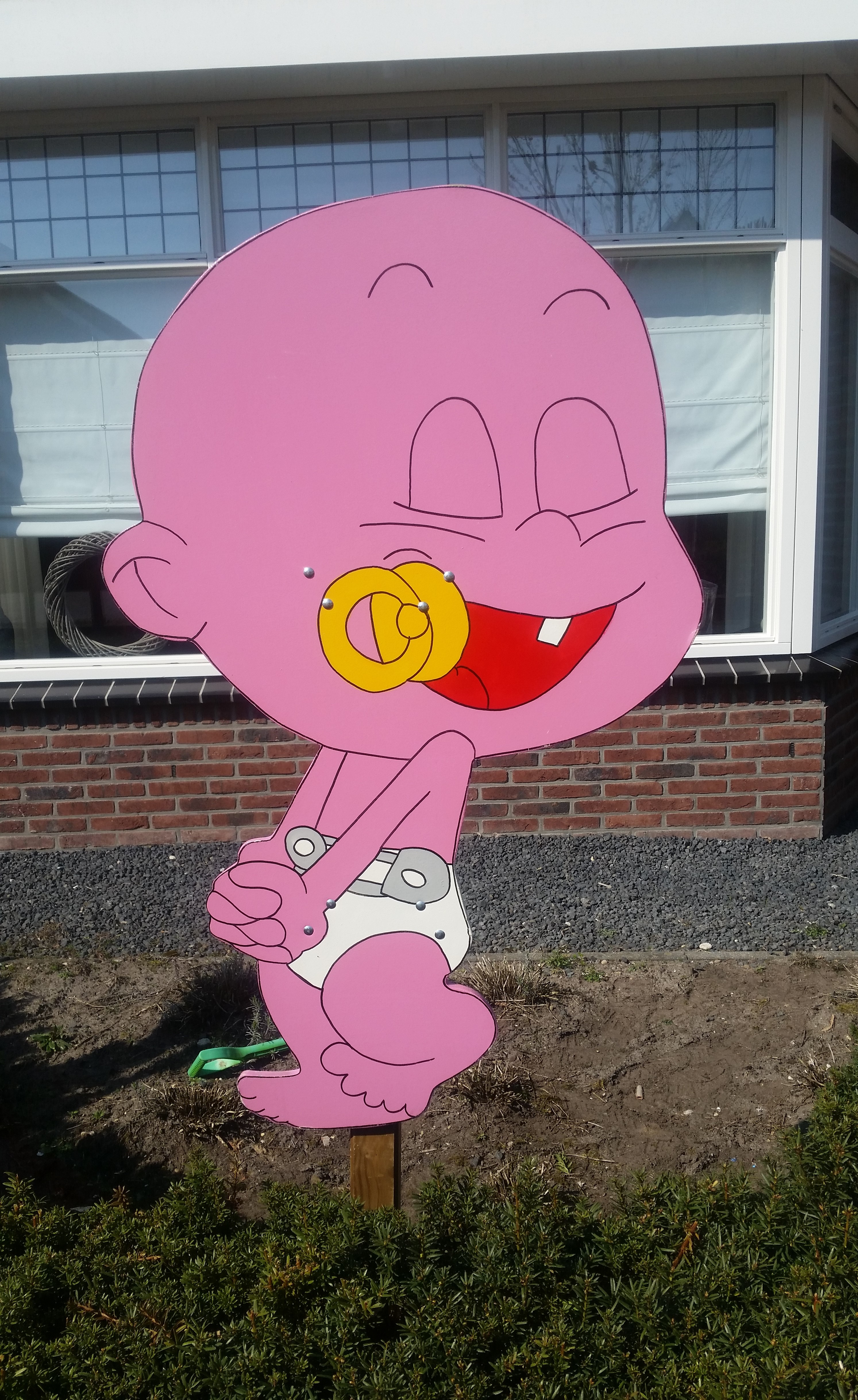 Bord Roze Baby Met Speen